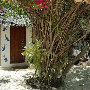 Sejur Mustapha'S Place vacanta Zanzibar Island
