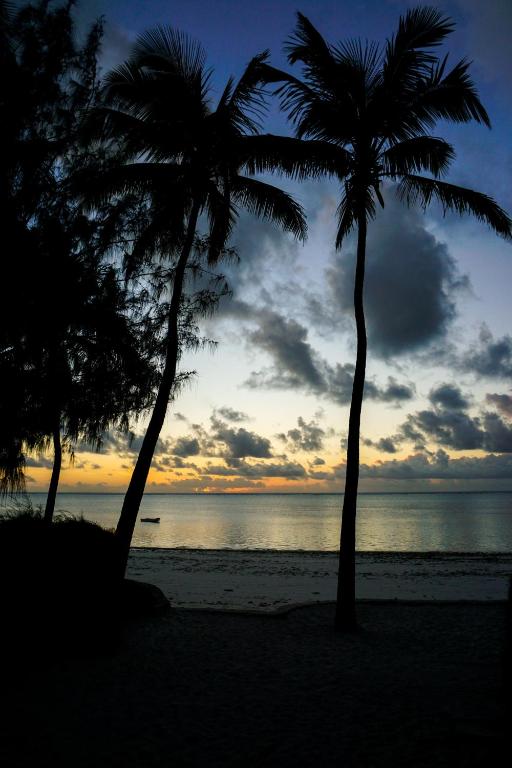 Indigo Beach Zanzibar