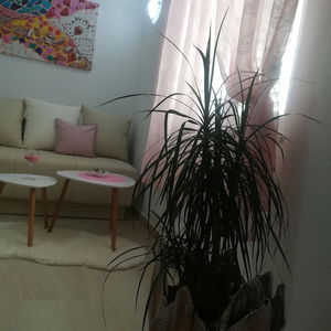 Hotel Apartments Zvonimir cazare Hvar