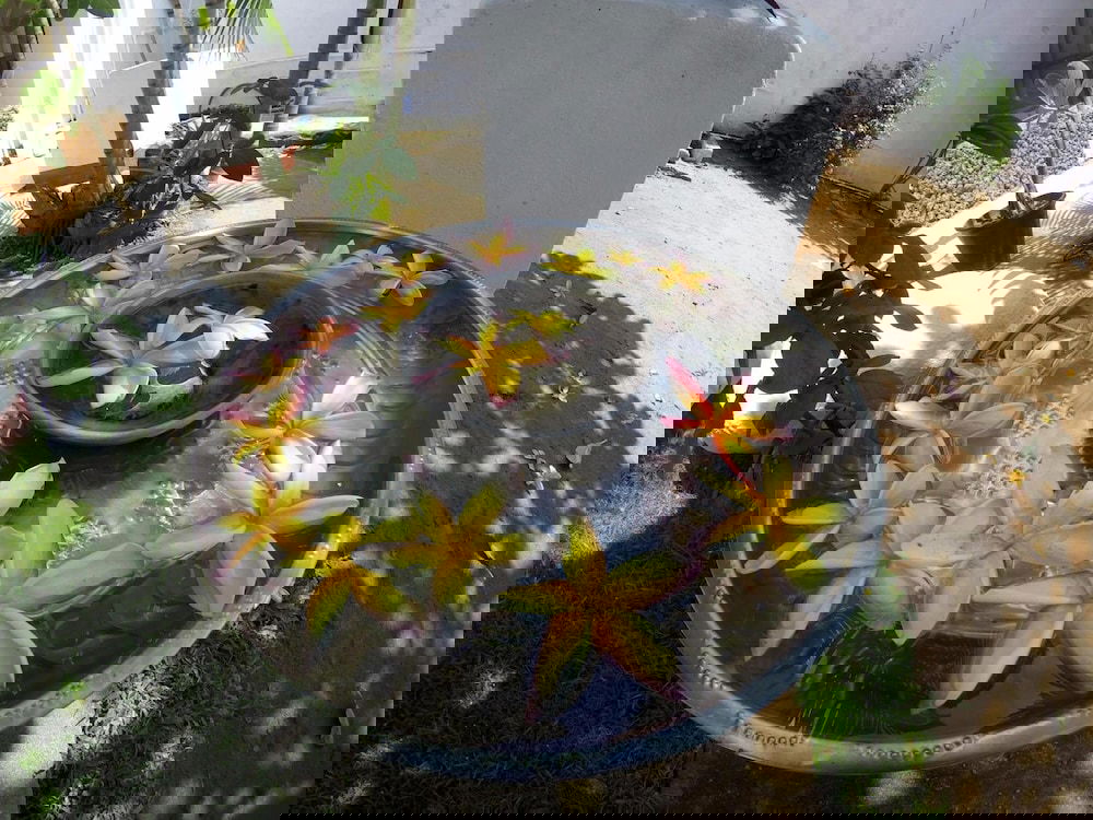 Hotel Colombo Residency