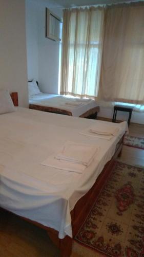 Hotel Vila Stefan 2 Costinesti