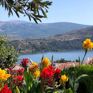 Sejur Liostasi Retreat Kefalonia vacanta Argostolion