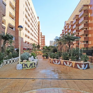 Sejur Apartamentos Playa Coral Marina Dor 3000 vacanta Oropesa del Mar