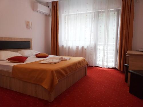 Hotel Pensiunea Ewe