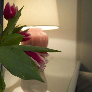 Sejur Club Hotel Venice vacanta VENETIA