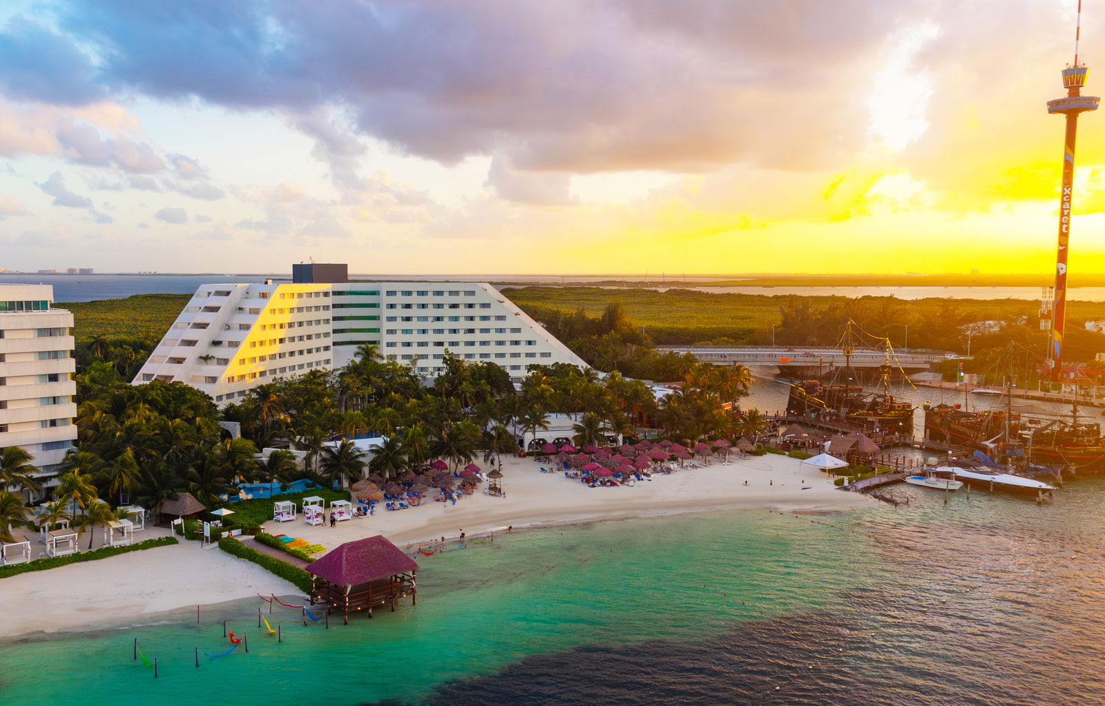 Hotel Oasis Palm