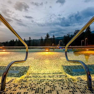 Hotel Elexus Poiana Brasov cazare Poiana Brașov