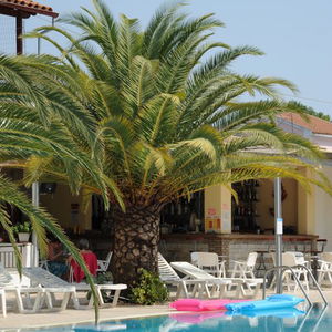 Hotel Captain's Studios & Apartments cazare Kavos