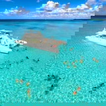 Sejur Hotel Marimba Punta Cana vacanta Punta Cana