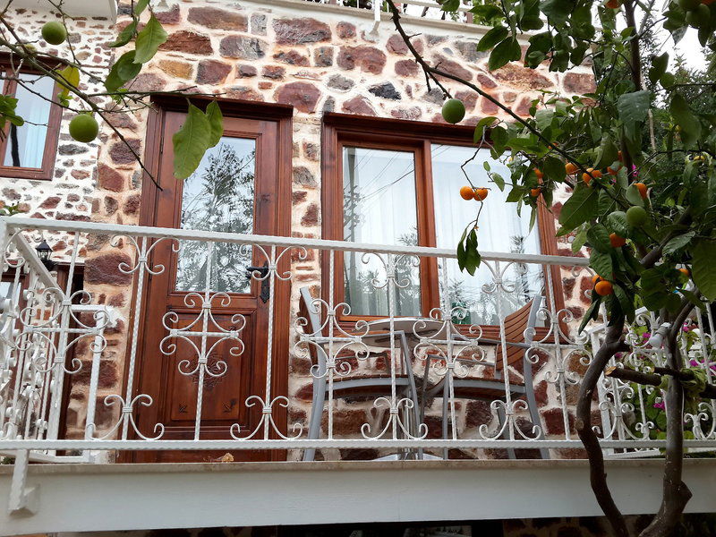 Hotel The Lemon Villa Hotel