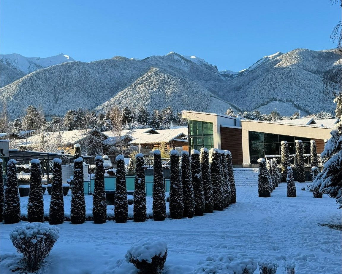 Hotel Local Stay By Best Western