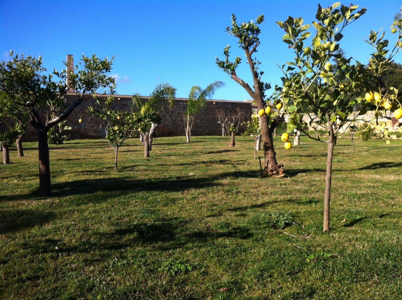 Hotel Villa Lampedusa Hotel & Residence