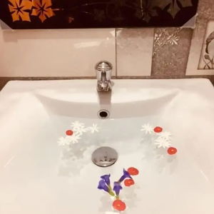 Sejur Toropi Homestay vacanta Kandy