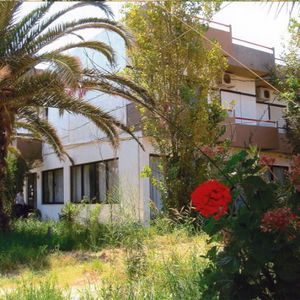 Sejur Violetta Hotel vacanta Ammoudara