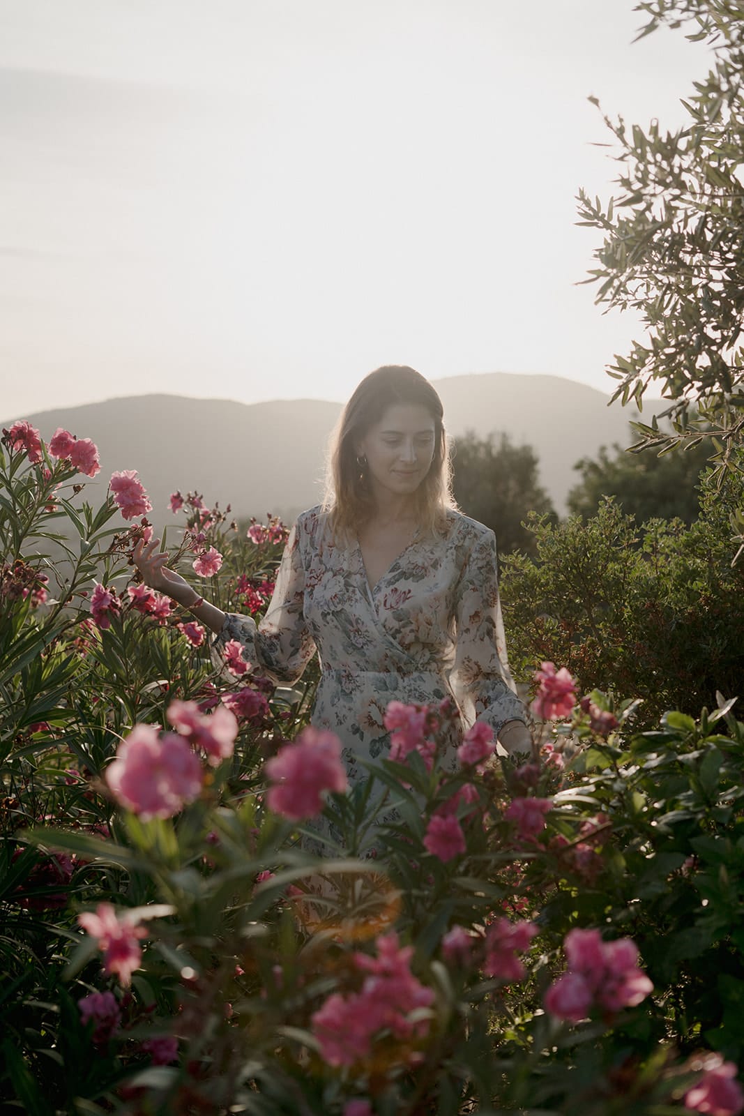 Hotel Village Heights Resort