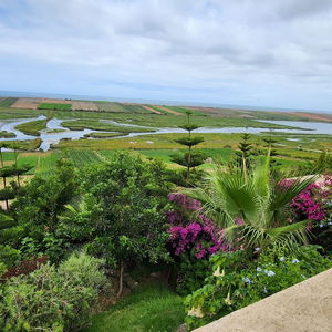 Hotel La Villa Joubert cazare Oualidia