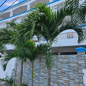 Sejur Lebovallon B&B vacanta Mahebourg