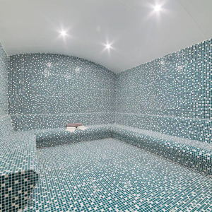 Hotel The Arkin Iskele Hotel cazare Morfou