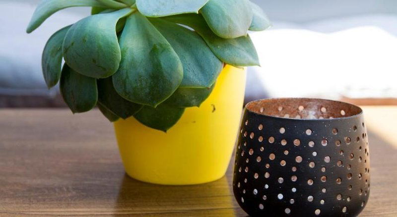 Hotel So Young Hostel