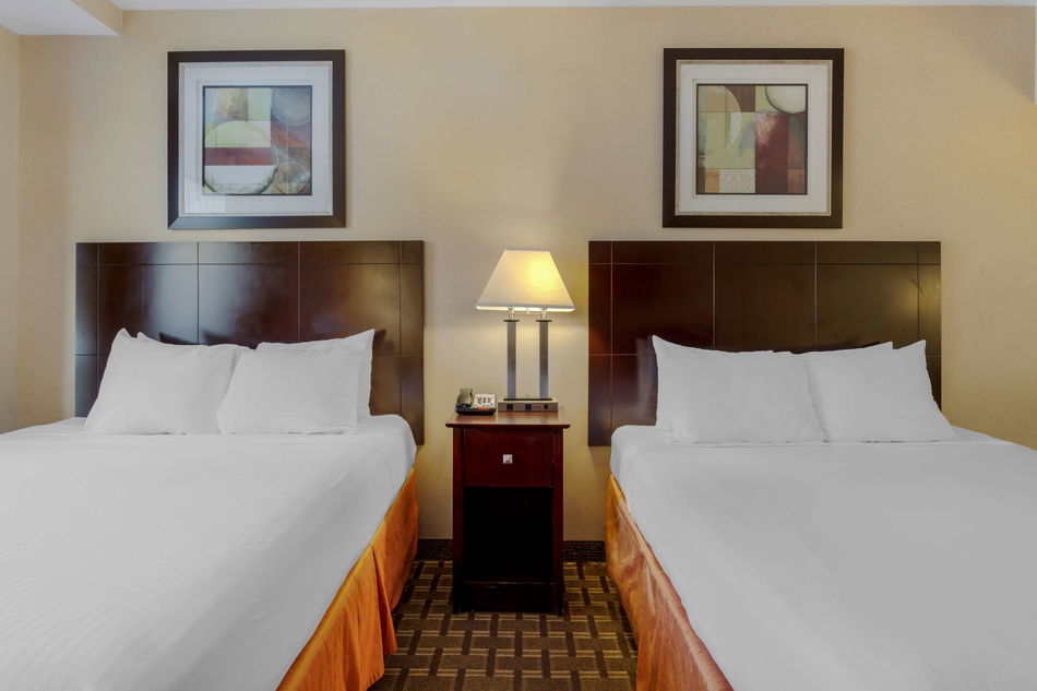 Best Western Plus Brooklyn Bay Hotel Room Example