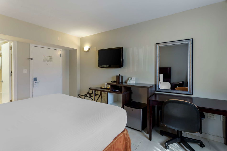 Best Western Plus Brooklyn Bay Hotel Room Example