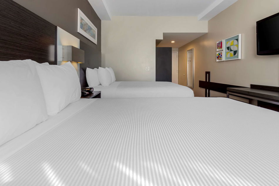 Best Western Plus Brooklyn Bay Hotel Room Example
