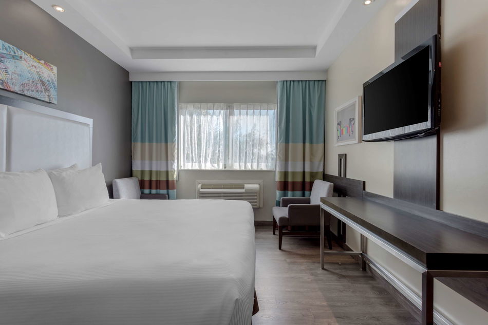 Best Western Plus Brooklyn Bay Hotel Room Example