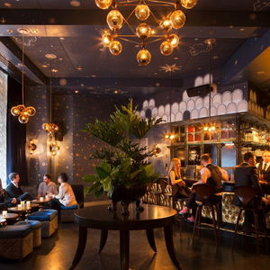 Hotel The Roxy Hotel cazare New York