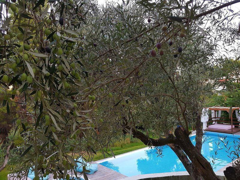 Hotel Avatel Eco Lodge