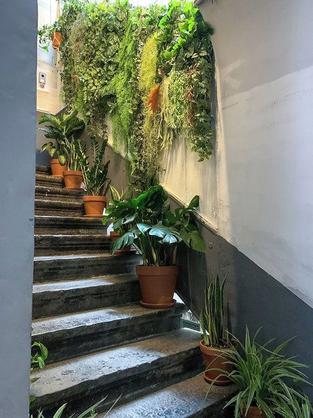 Hotel Serendipity Bed & Breakfast