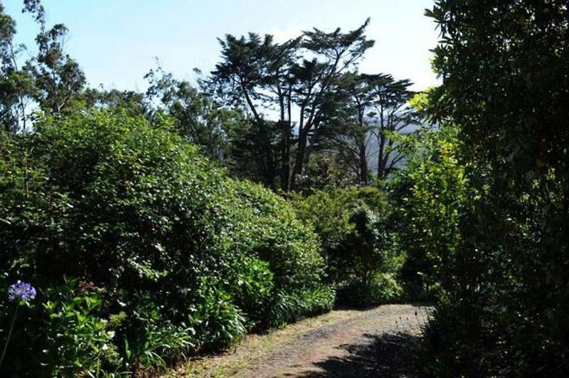 Quinta Da Cova Do Milho