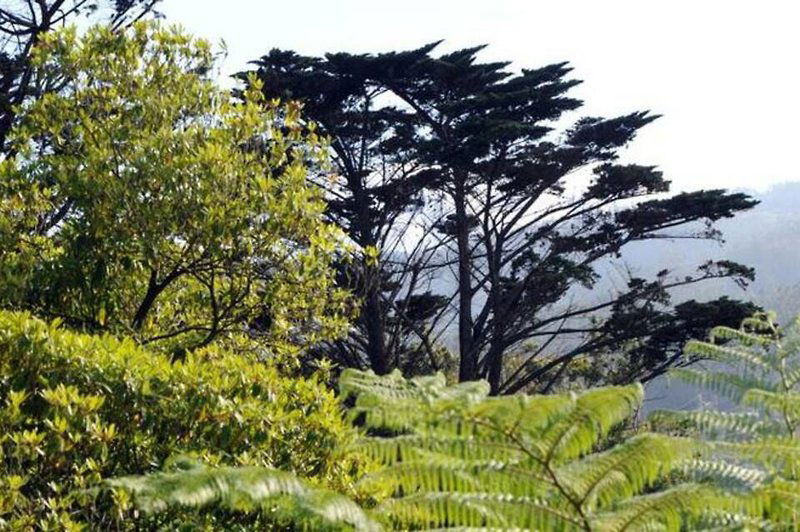 Quinta Da Cova Do Milho