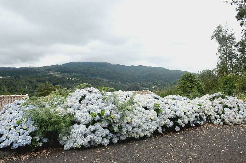 Quinta Da Cova Do Milho
