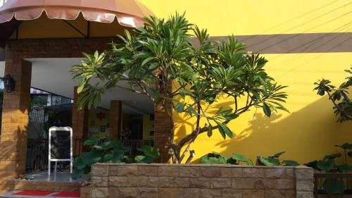 Hotel The Moonlight Place