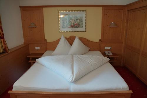 Hotel Alpina