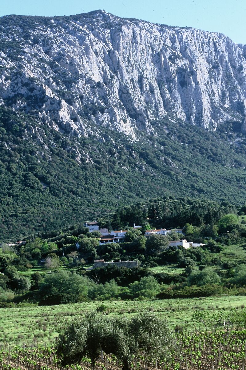 Hotel Su Gologone Experience Hotel