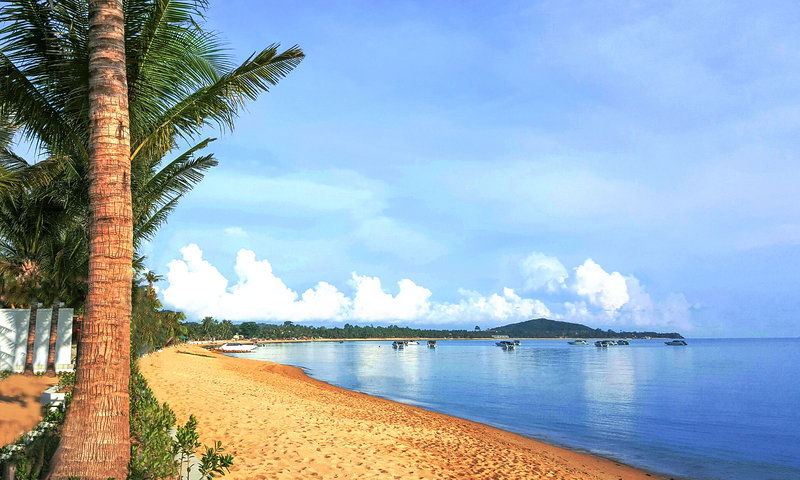 Explorar Koh Samui Beach