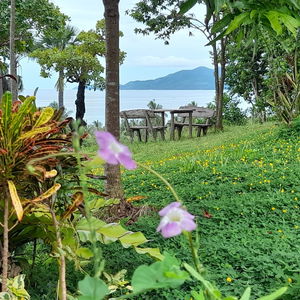 Hotel Erlittop Garden cazare El Nido