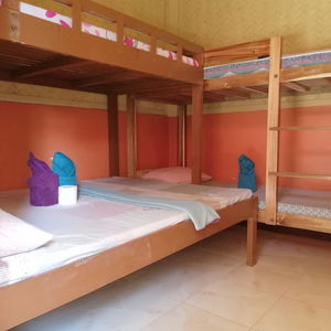 Hotel Forest Inn cazare El Nido